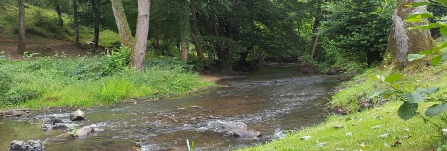 Photo du cours d'eau la Somme